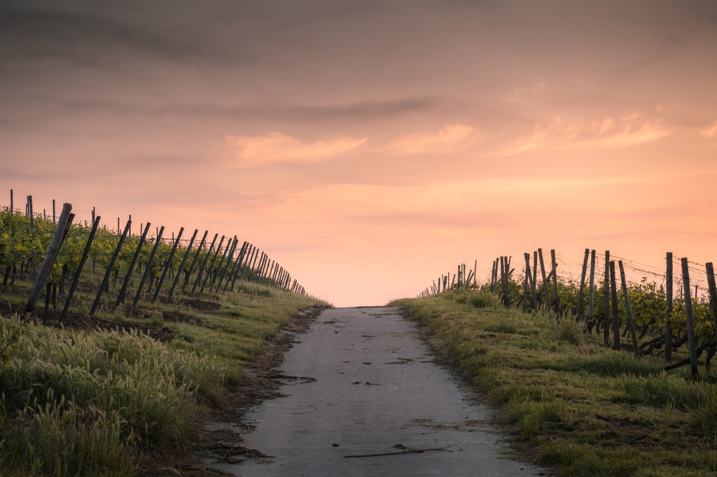 country path