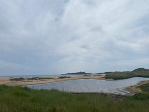 Coastal scene