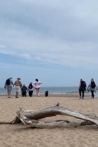 Walkers on beach